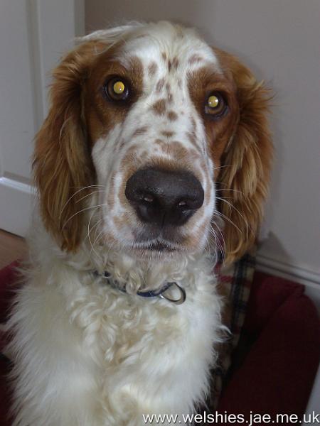 2010-07-31 09.jpg - Getting rather jealous of Hal's attention